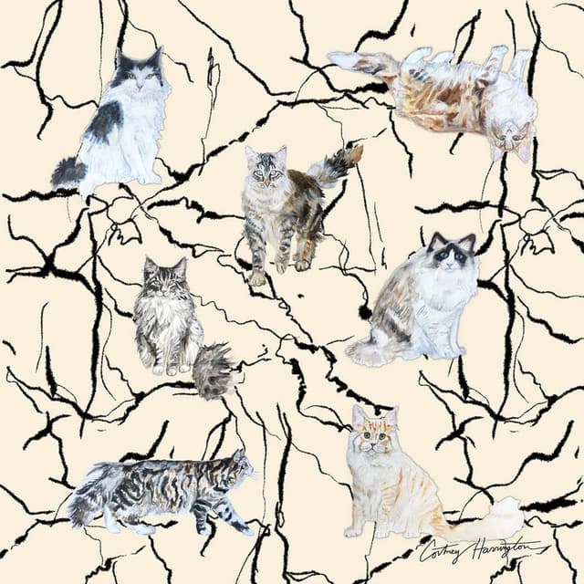 Artwork 14