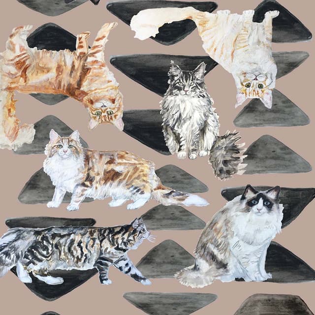 Artwork 20
