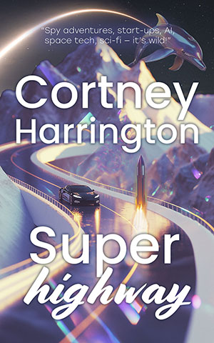 Superhighway Book Cover
